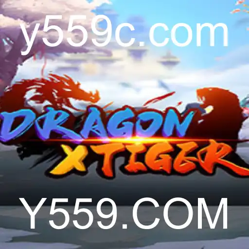 DragonXTiger: Um Guia Completo para o Jogo Popular em Y559.COM